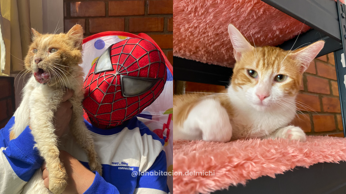 Diego, el que aprendió a vivir diferente